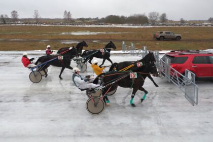 Dusetų hipodrome jau šį savaitgalį startuos tradicinės garsiosios Sartų žirgų lenktynės – vienas laukiamiausių ir prestižiškiausių žiemos sporto renginių Lietuvoje.