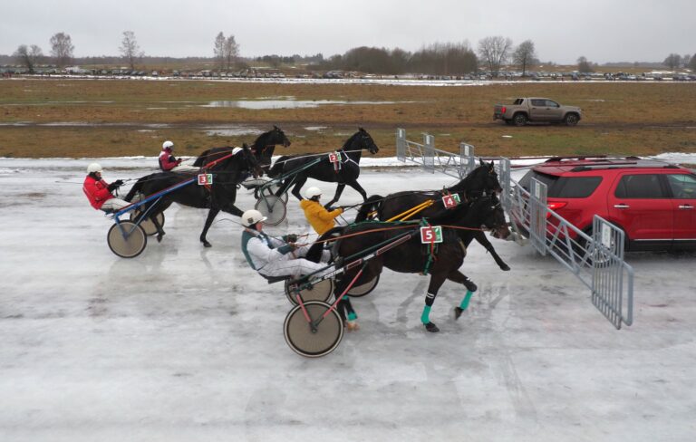 Dusetų hipodrome jau šį savaitgalį startuos tradicinės garsiosios Sartų žirgų lenktynės – vienas laukiamiausių ir prestižiškiausių žiemos sporto renginių Lietuvoje.