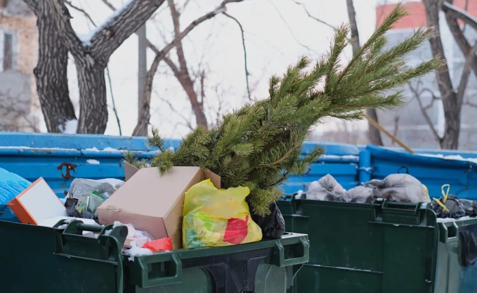 Perspėjimai panevėžiečiams, kad prie bendrojo naudojimo atliekų konteinerių palikus nupuoštą Kalėdų eglutę galima užsidirbti 600 eurų baudą, ne ką tepadėjo.