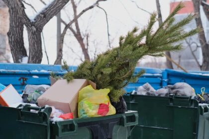 Perspėjimai panevėžiečiams, kad prie bendrojo naudojimo atliekų konteinerių palikus nupuoštą Kalėdų eglutę galima užsidirbti 600 eurų baudą, ne ką tepadėjo.