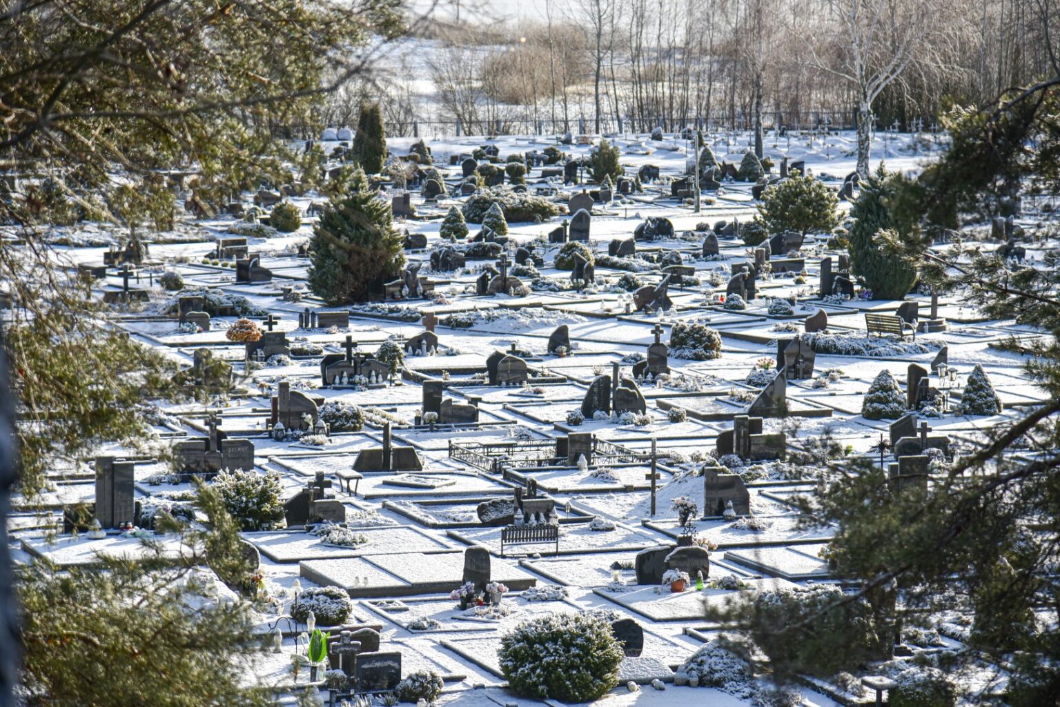 Į Panevėžį ir jo apylinkes įsimetė giltinė. Laidojimo paslaugų įmonės pabrėžia, kad per Kūčias dalgiu mojuoti pradėjusi nelaboji iš rankų jo nepaleidžia iki šiolei.