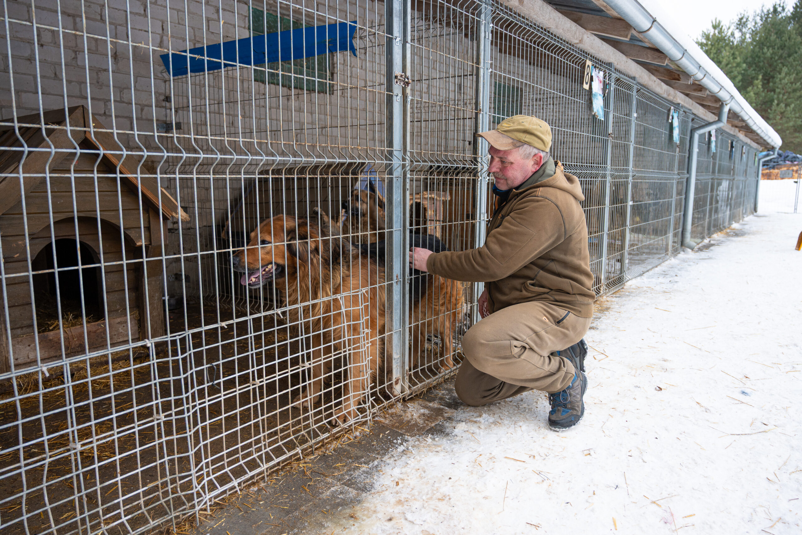 Keturkojų prieglaudoje dirbantis Dainius Kulbis teigia, kad pasiimti auginti šunį derėtų ne mažiau atsakingai nei pasiryžti susituokti. P. ŽIDONIO nuotr.