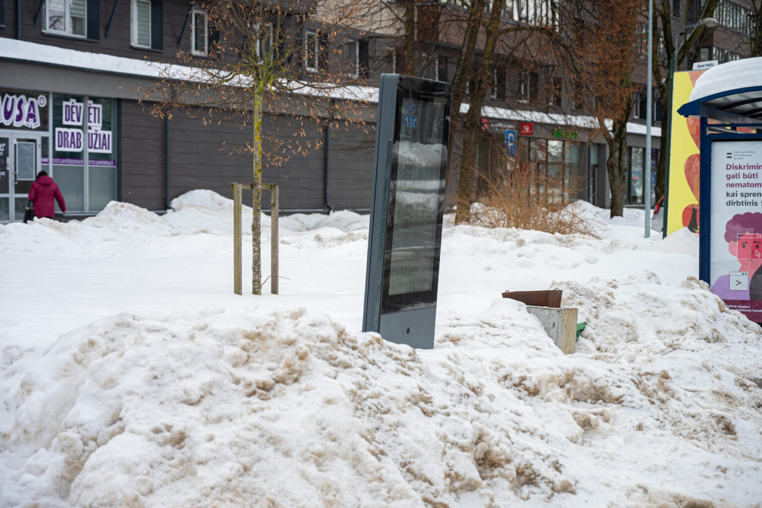 Skaitytojo pasiūlyta tema