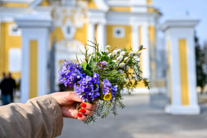 Nešini kadagio ar kitų žalumynų šakelėmis, šį sekmadienį nuo pat ryto būriai panevėžiečių skuba į bažnyčias. Kai kurie nepamirš ir senosios tradicijos vos išėjus iš maldos namų, linkint sveikatos, išplakti artimąjį ką tik pašventinta verba.