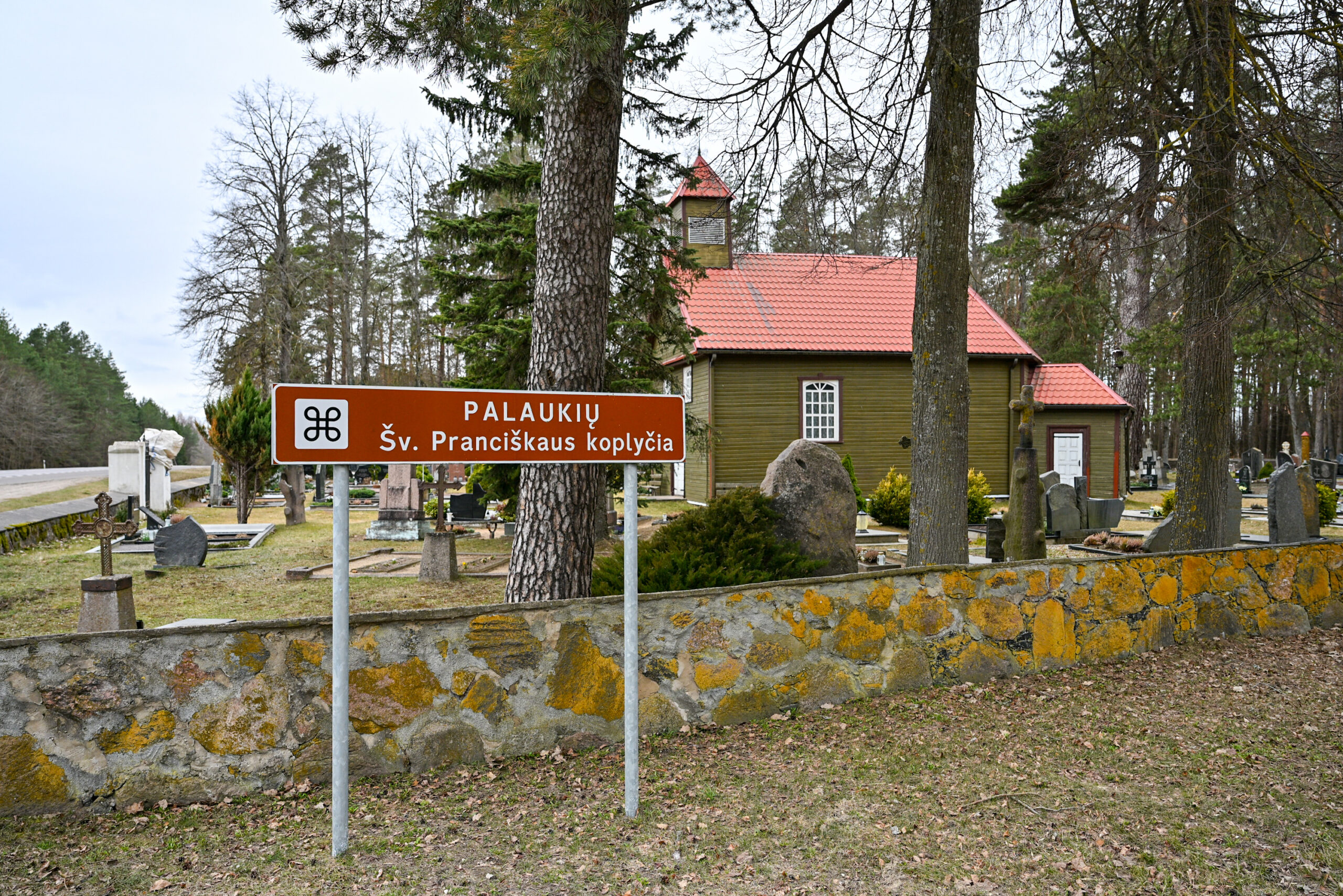 Iki naujosios rajono įžymybės – ąžuolo – važiuojama pasukus pro Palaukių koplytėlę. G. KARTANO nuotr.