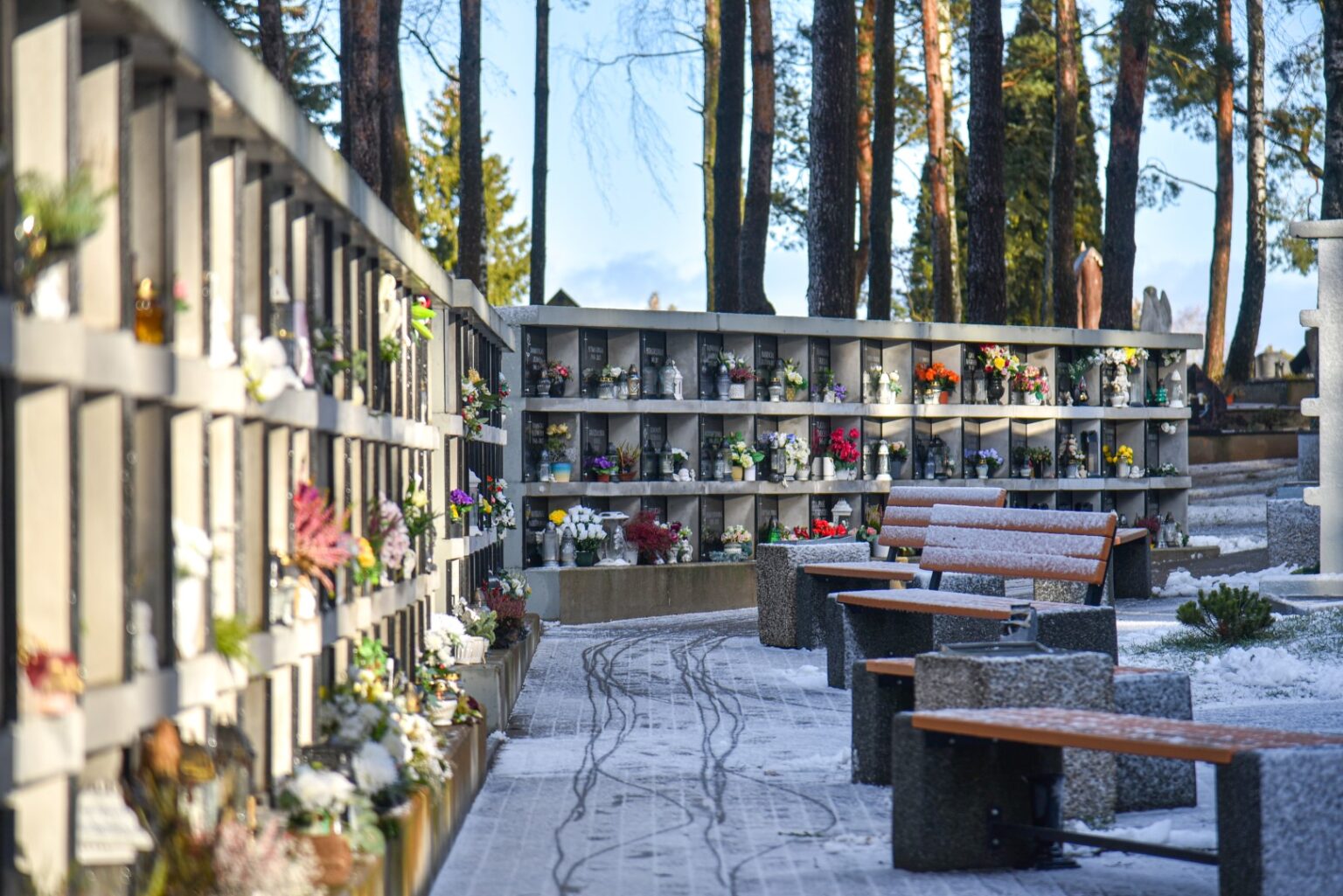 Skaitytojo pasiūlyta tema