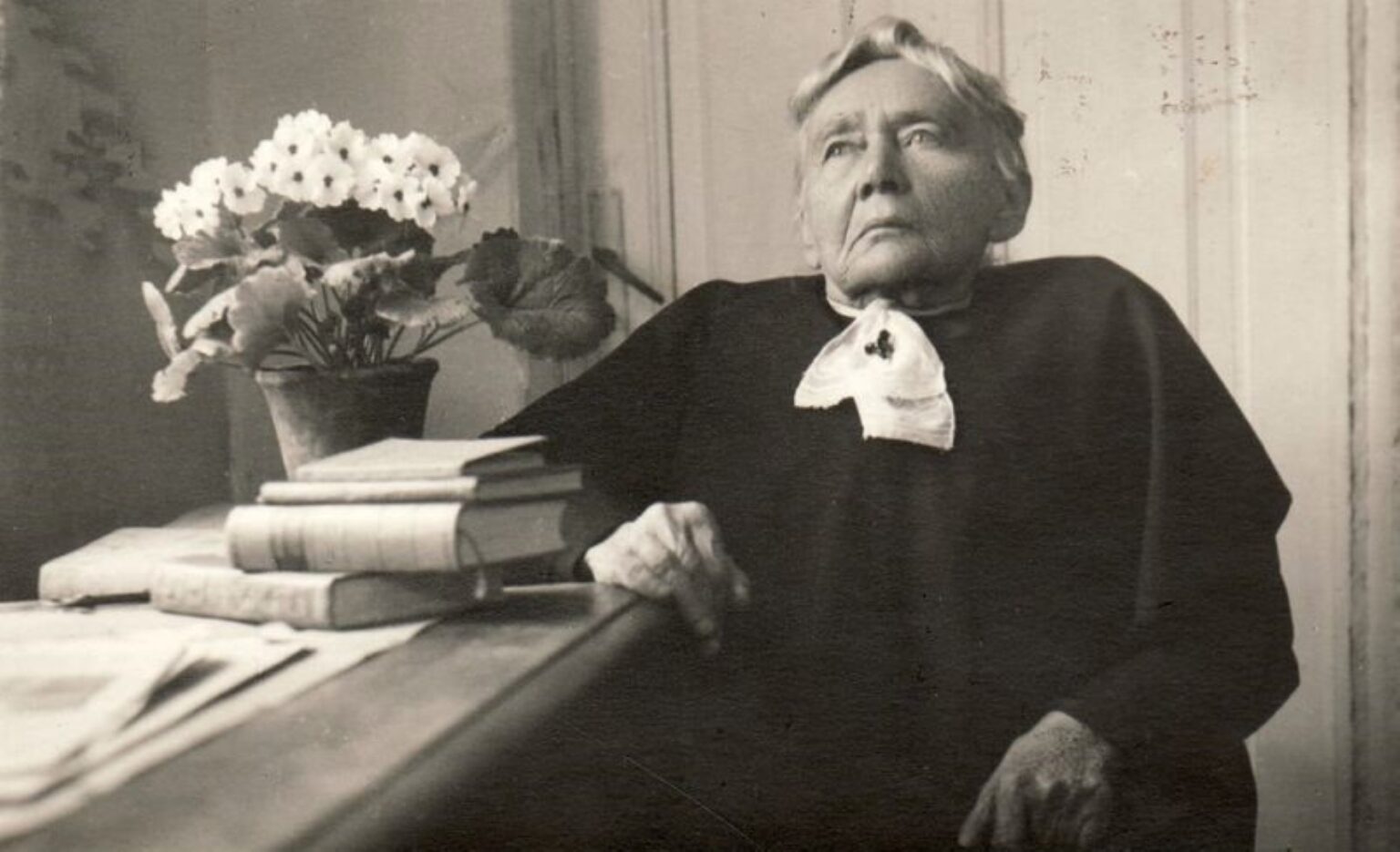 Siekdama prasmingai paminėti 165-ąsias iškilios rašytojos, filantropės, visuomenininkės Gabrielės Petkevičaitės-Bitės gimimo metines, Panevėžio apskrities Gabrielės Petkevičaitės-Bitės viešoji biblioteka rudenį skaitytojams pristatys naują grafinę novelę.