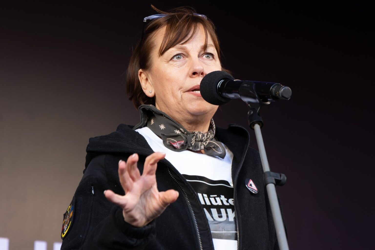 Vilniaus policija toliau gauna skundų dėl žurnalistės Ritos Miliūtės per mitingą dėl Lietuvos nacionalinio radijo ir televizijos (LRT) įstatymo pataisų pademonstruoto vidurinio piršto.