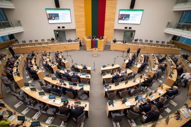 Didžiausia Lietuvoje veikianti politinė jėga – Lietuvos socialdemokratų partija (LSDP) per praėjusį pusmetį neteko kone 400 narių, o konservatorių gretos sumažėjo 100 asmenų. Teisingumo ministerijos duomenimis, kitose didžiosiose partijose reikšmingesnių narių skaičiaus pokyčių pastarąjį pusmetį nefiksuota.