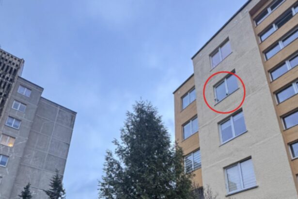 Panevėžio savivaldybę kas mėnesį pasiekia skundai dėl miesto daugiabučiuose įrengtų vaizdo stebėjimo kamerų.