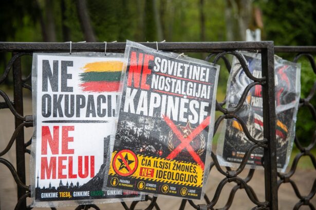 Vilniuje šeštadienio rytą Antakalnio kapinių prieigose policija sulaikė vyrą, kuris į kapines ėjo rūbuose įsisegęs Georgijaus juostelę. Šį simbolį Lietuvoje demonstruoti viešai draudžiama, už tai gresia administracinė atsakomybė.