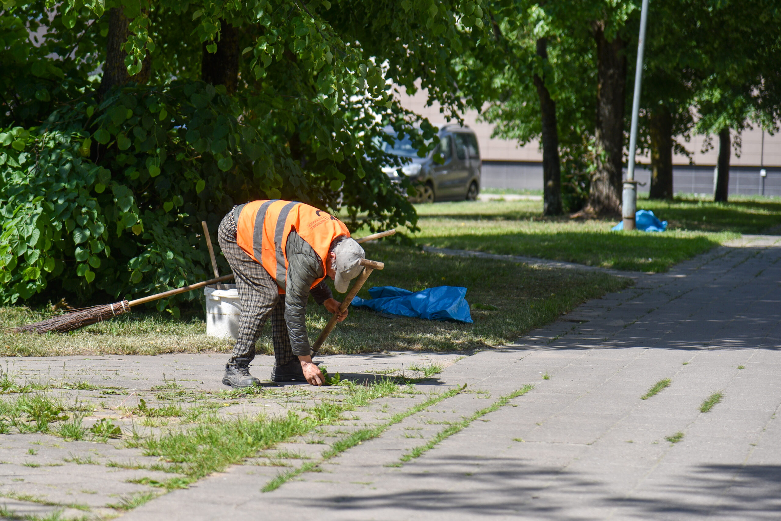 Panevėžyje visuomenei naudingus darbus dirba maždaug 209 socialinių pašalpų gavėjai. Pernai tokių buvo 595. P. ŽIDONIO nuotr.