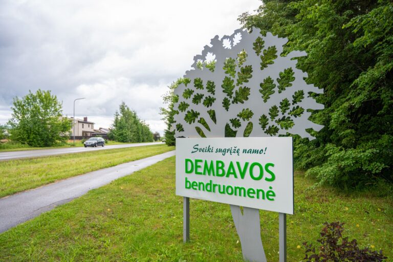 Kol Panevėžyje viešosios tvarkos kontrolieriai su liniuotėmis tikrina, ar žolė apleistuose sklypuose neperžengė nustatytos ribos, rajone specialistams užtenka užmesti akį, kad apsileidėlis sulauktų baudos.