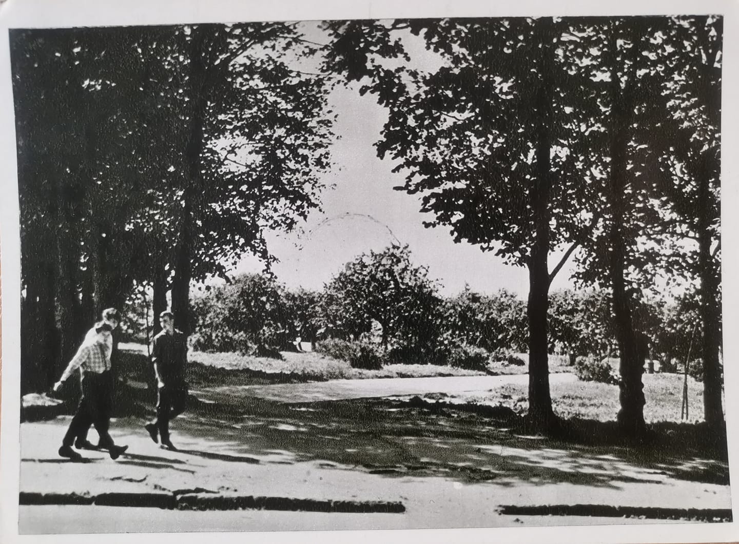 Miesto parkas P. Rotomskio gatvėje. 1967 m. PANEVĖŽIO KRAŠTOTYROS MUZIEJAUS fondų/ F. JODIKAITIENĖS nuotr.