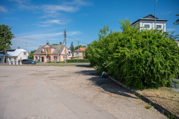 Panevėžyje imta mažinti bendrųjų atliekų konteinerių aikštelių. Mieste panaikintos jau trys tokios.