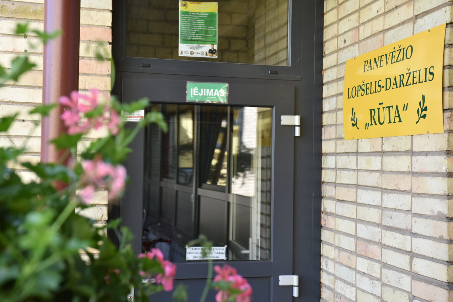 Panevėžyje šią vasarą pedagogų ieško ne tik mokyklos. Į darbuotojų paieškas pasinėrę ir miesto lopšeliai-darželiai – nuo rugsėjo juose atsiras net trys naujos pareigybės: neformaliojo ugdymo, fizinio ugdymo ir socialinių pedagogų.