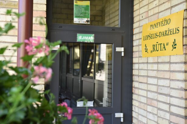 Panevėžyje šią vasarą pedagogų ieško ne tik mokyklos. Į darbuotojų paieškas pasinėrę ir miesto lopšeliai-darželiai – nuo rugsėjo juose atsiras net trys naujos pareigybės: neformaliojo ugdymo, fizinio ugdymo ir socialinių pedagogų.