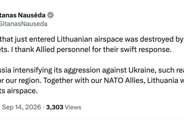 Nacionalinių krizių valdymo centro (NKVC) preliminariais duomenimis, dronas sunaikintas Alytaus rajone, ties Navasiolkų kaimo.